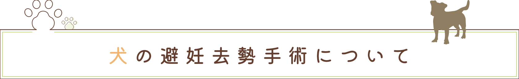 犬の避妊去勢手術について