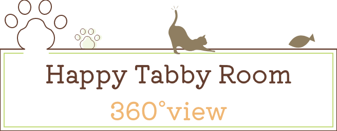 Happy Tabby Room 360°view