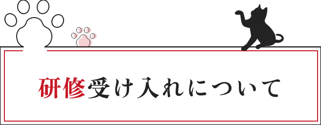 研修の受け入れについて
