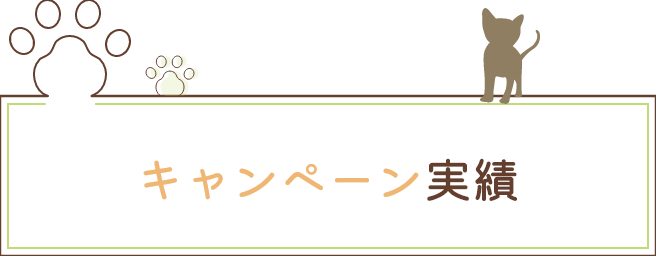 キャンペーン実績