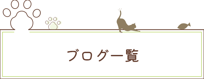 ブログ一覧