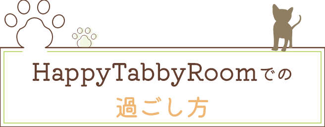 HappyTabbyRoomでの過ごし方