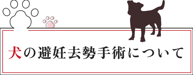 犬の避妊去勢手術について