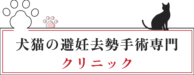 犬猫の避妊去勢手術専門クリニック