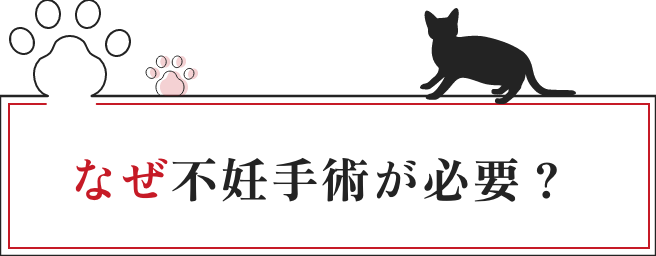 なぜ不妊手術が必要?