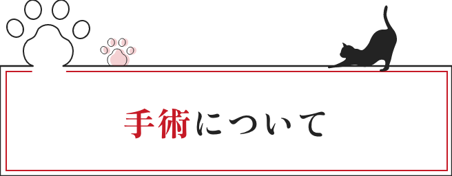 手術について