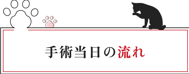 手術当日の流れ