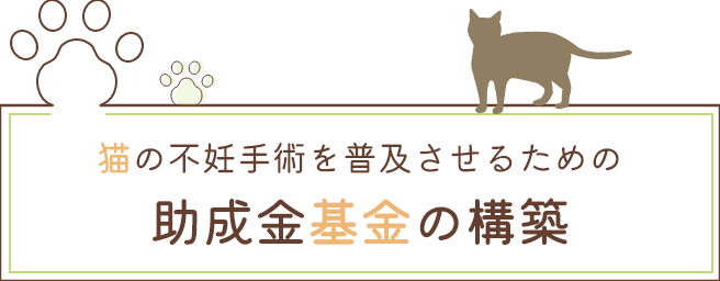 猫の不妊手術を普及させるための助成金基金の構築