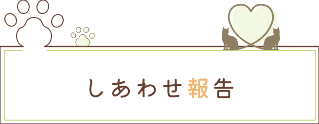 しあわせ報告
