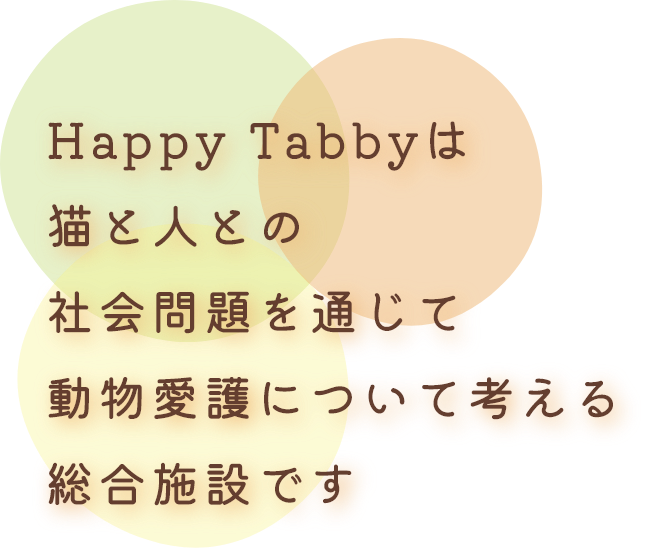 Happy Tabbyは猫と人との社会問題を通じて動物愛護について考える総合施設です
