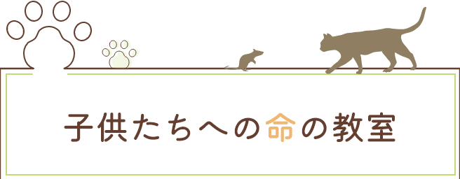 子供たちへの命の教室