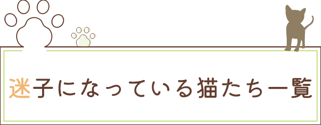 迷子になっている猫たち一覧