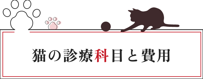 診療科目と費用
