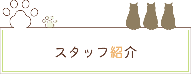 スタッフ紹介