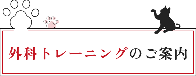 外科トレーニングのご案内