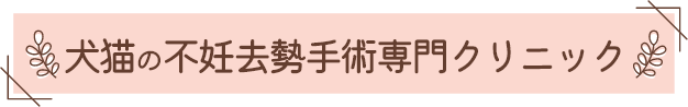 犬猫の不妊去勢手術専門クリニック