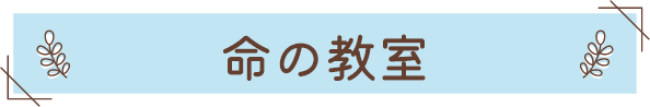 命の教室