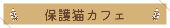 保護猫カフェ