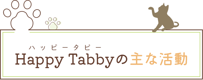 Happy Tabbyの主な活動