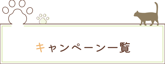 キャンペーン一覧
