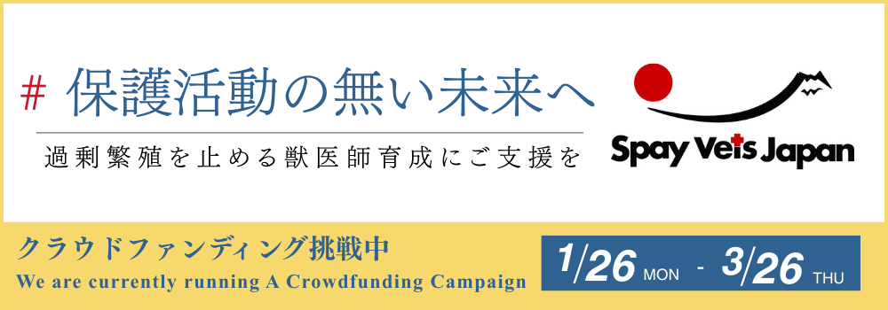 #保護活動の無い未来へ　過剰繁殖を止める獣医師育成にご支援を　クラウドファンディング挑戦中　1/26~3/26